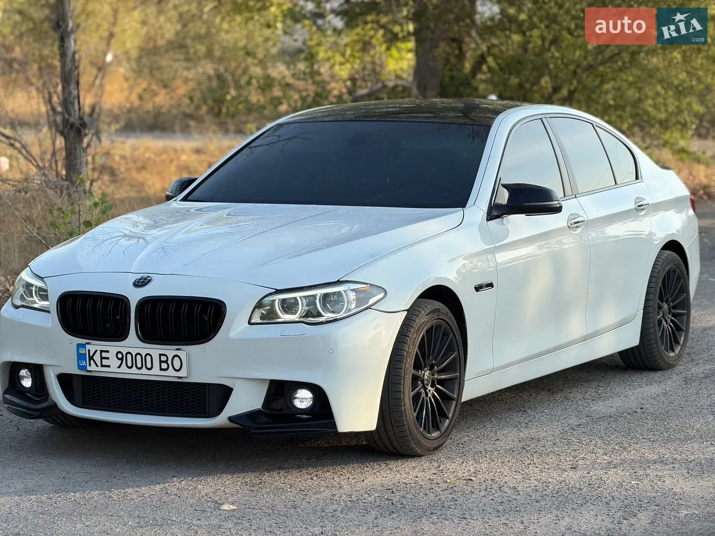 BMW 5 Series, 2013