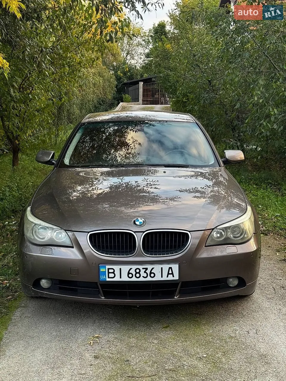 BMW 5 Series, 2003