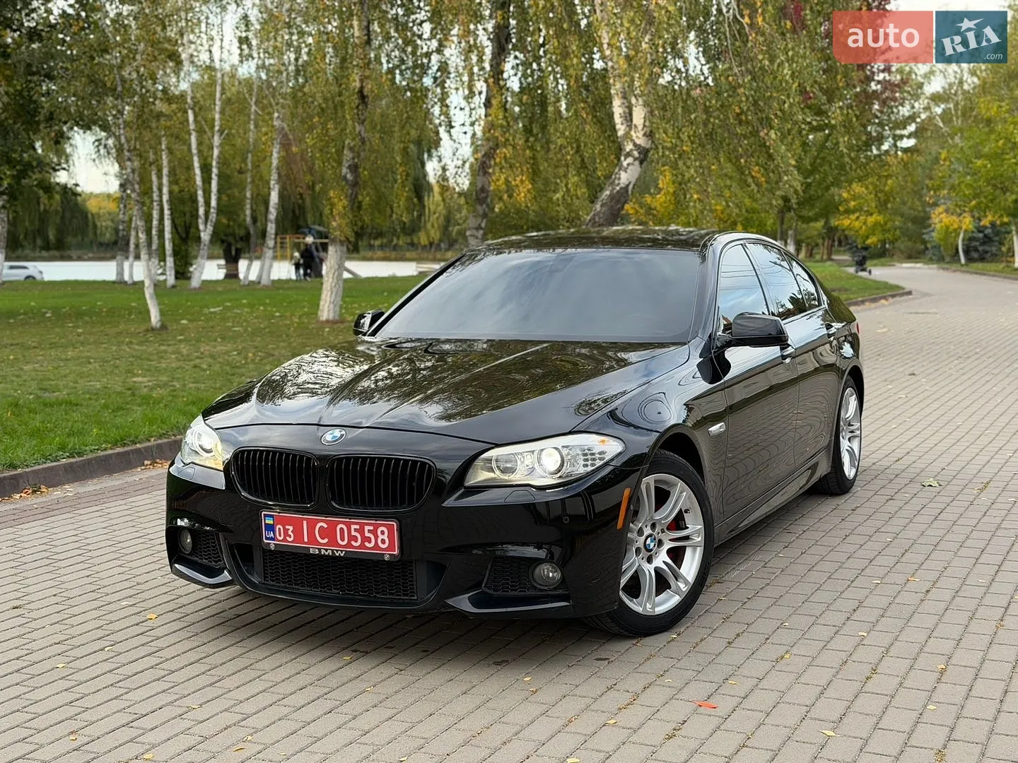 BMW 5 Series, 2013