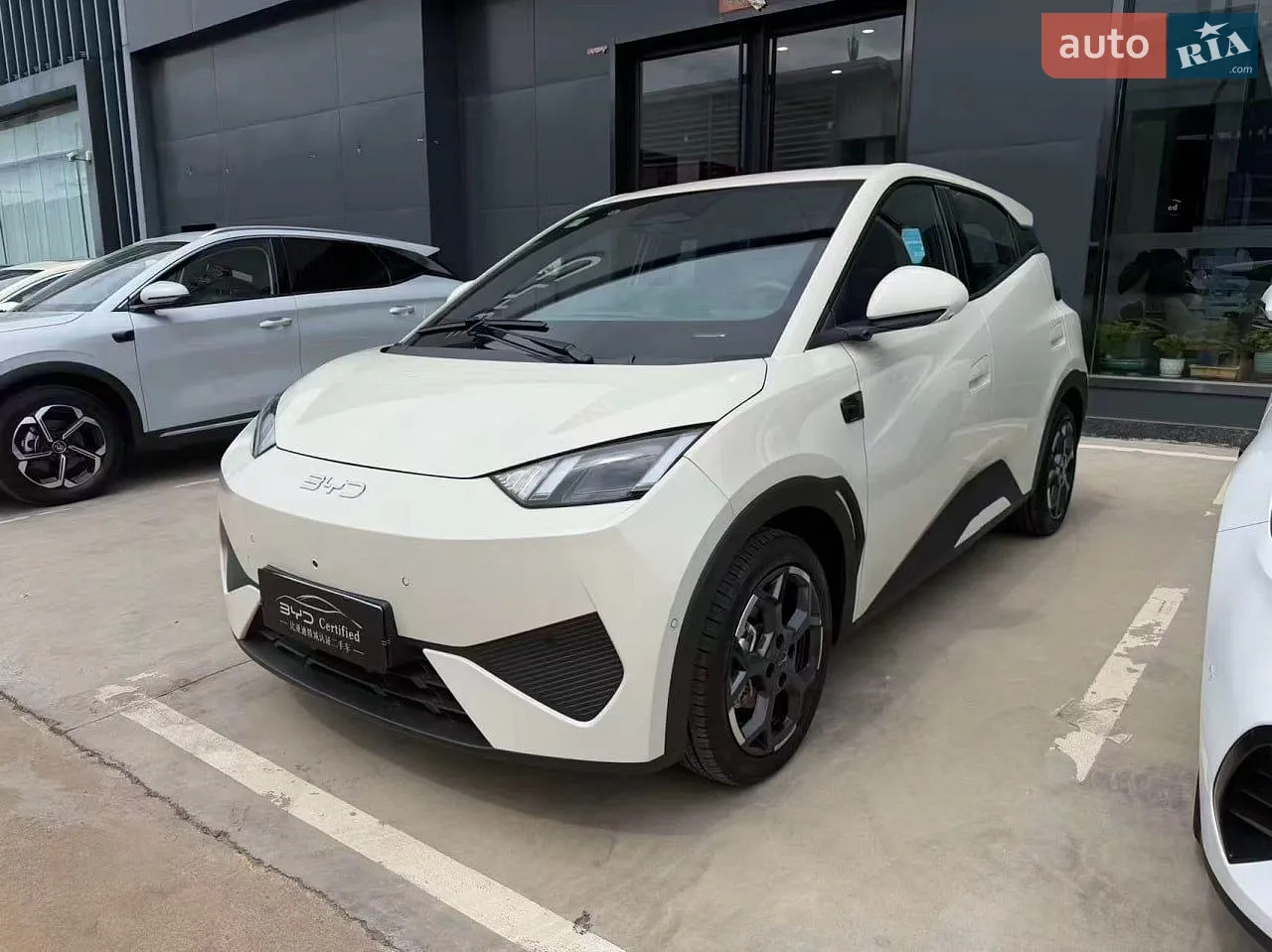 BYD Seagull, 2025