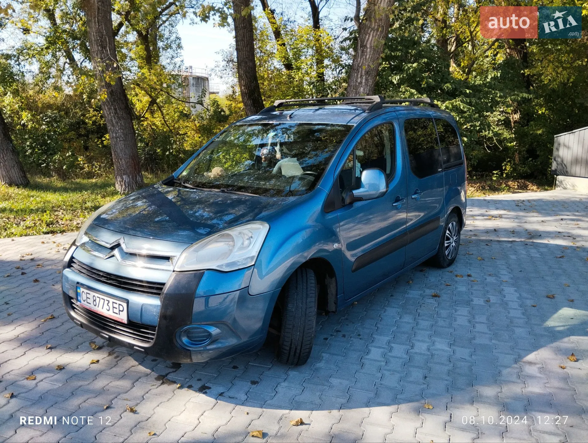 Citroën Berlingo, 2010