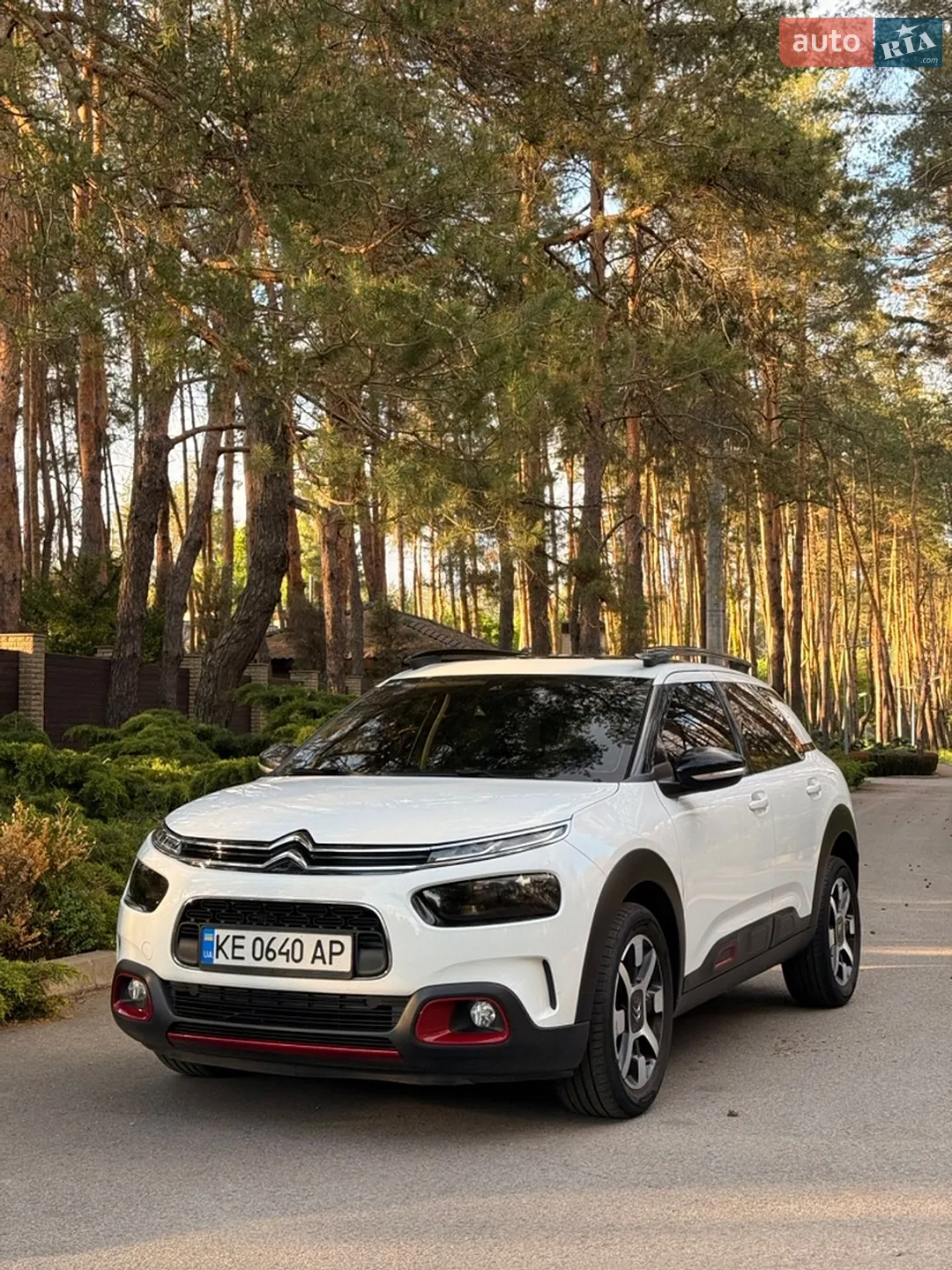 Citroën C4 Cactus, 2019
