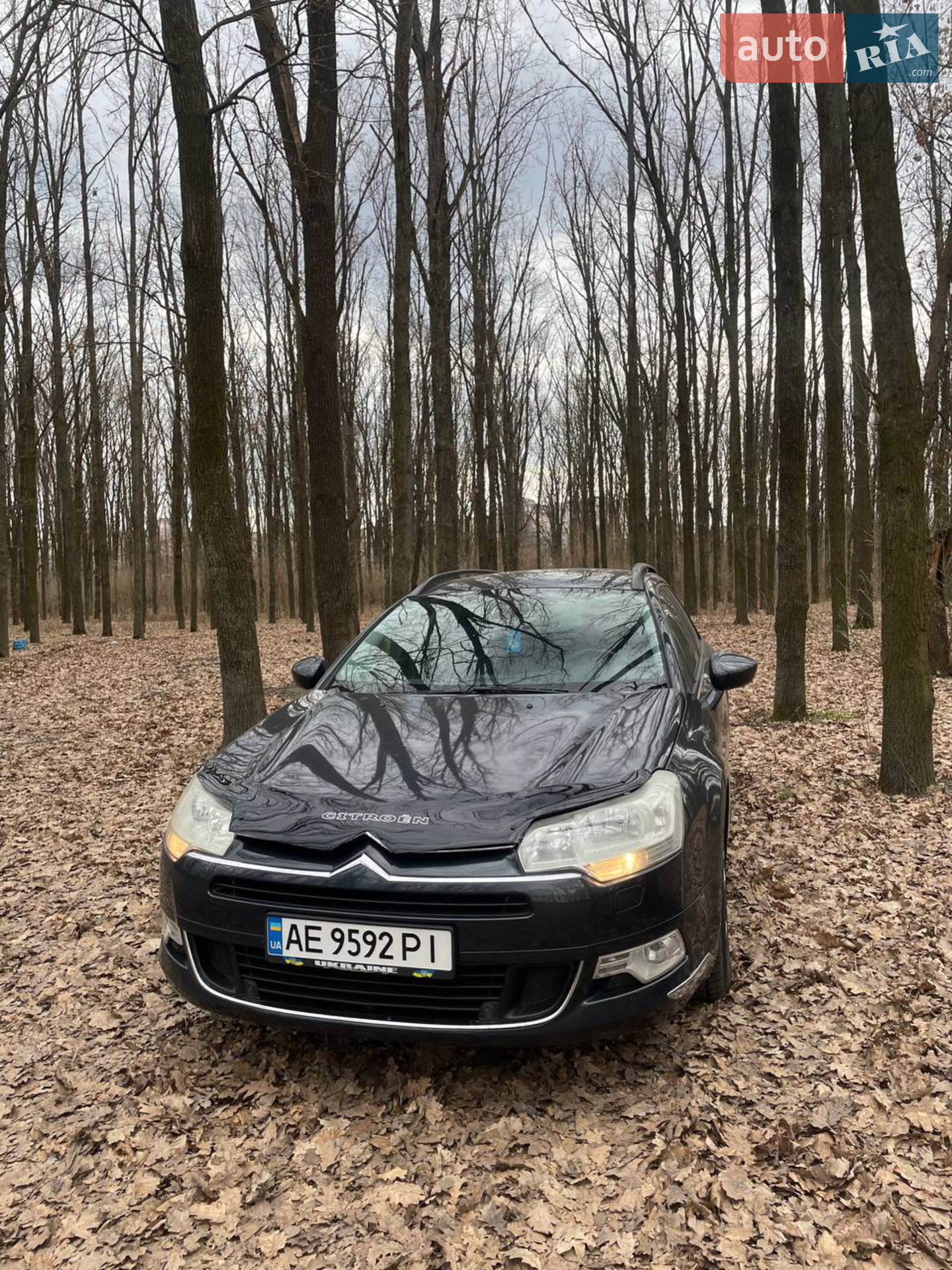 Citroën C5, 2009