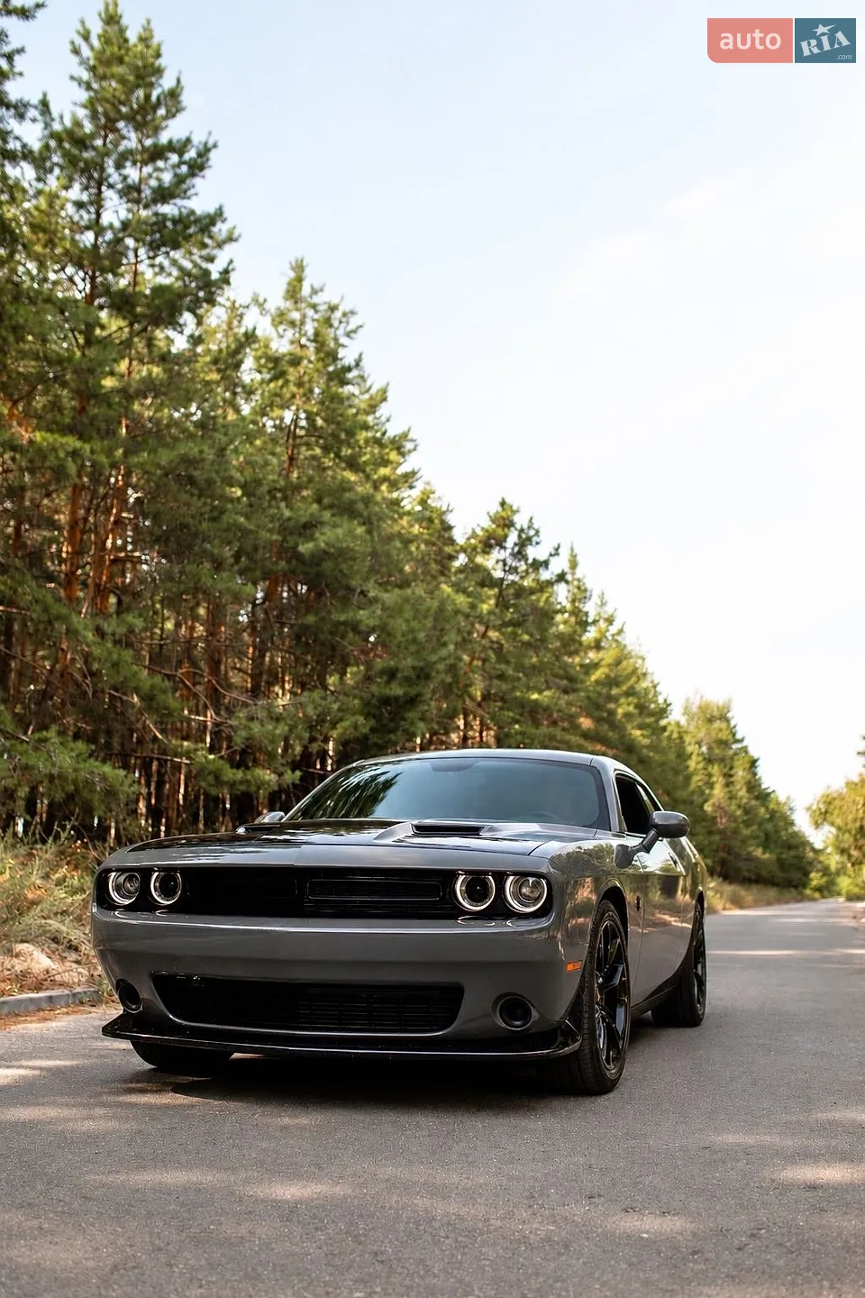 Dodge Challenger, 2019