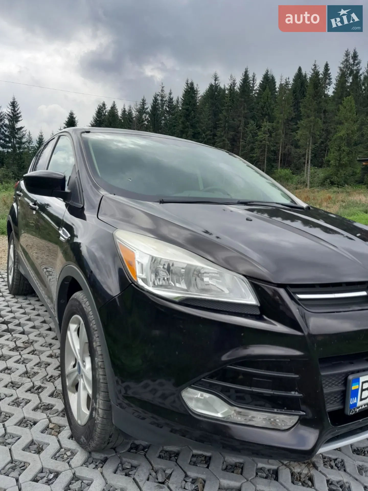 Ford Escape, 2012