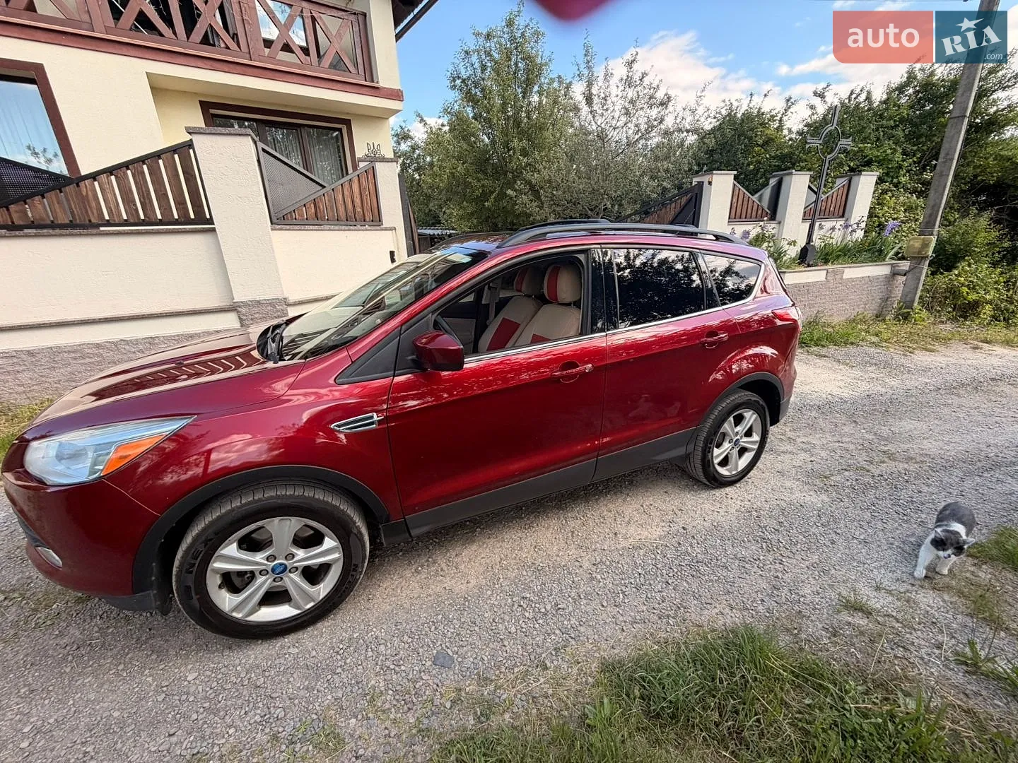 Ford Escape, 2013