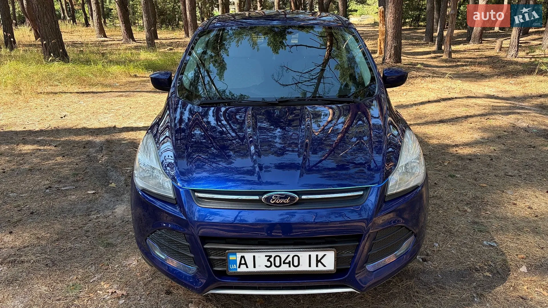 Ford Escape, 2013
