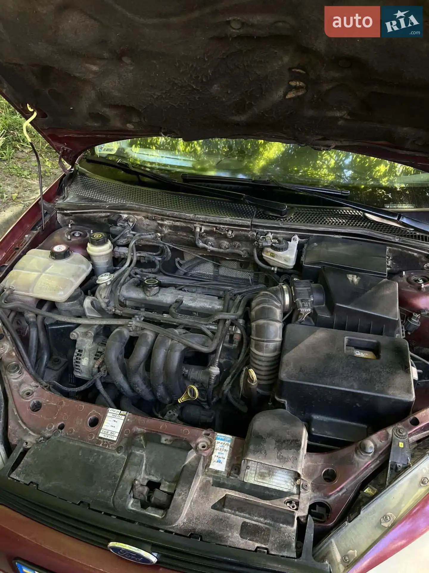 Ford Focus, 2001