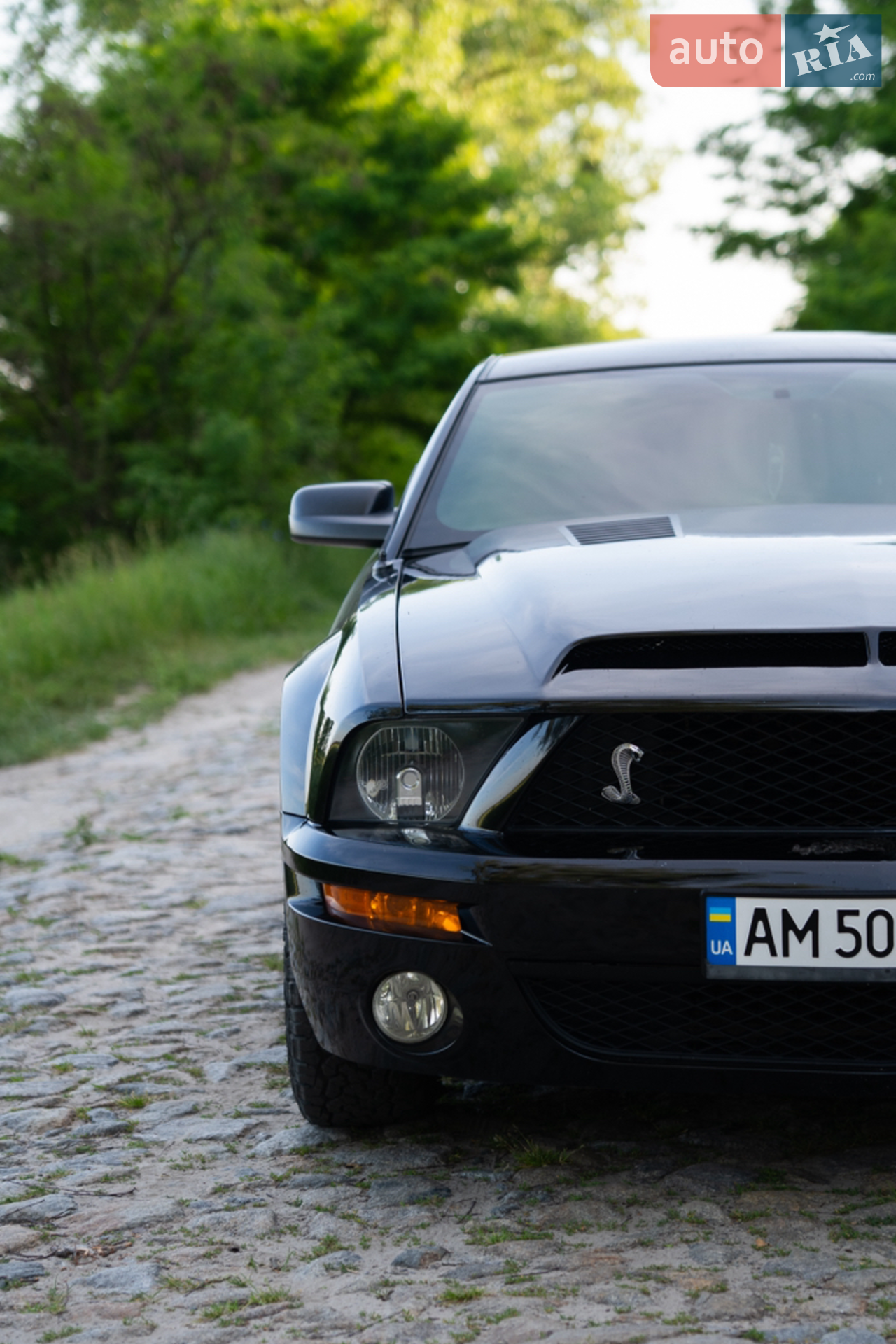 Ford Mustang, 2008