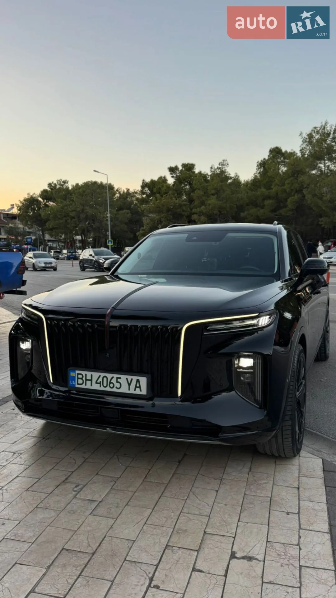 Hongqi E-HS9, 2021