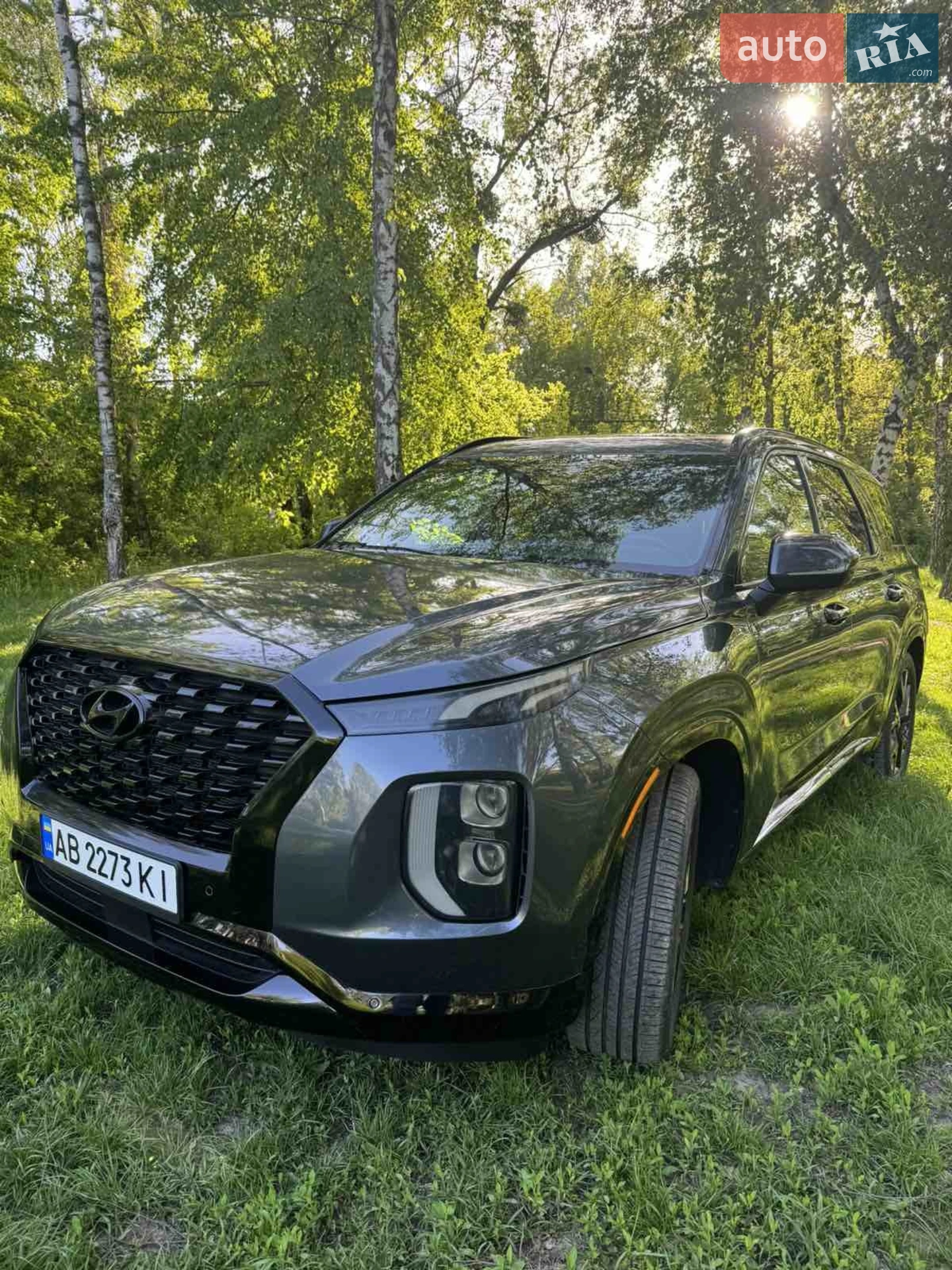 Hyundai Palisade, 2019