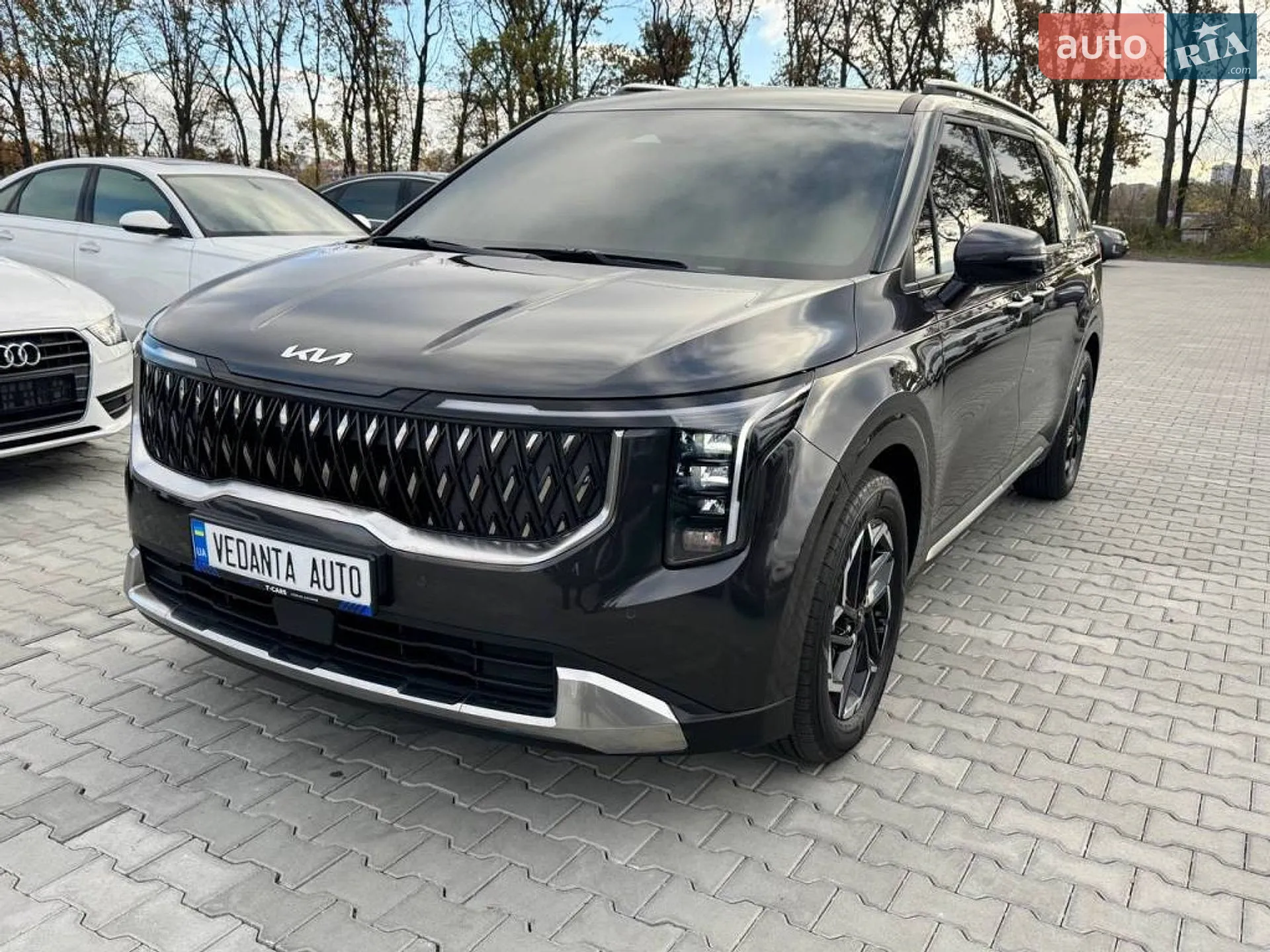 Kia Carnival, 2024