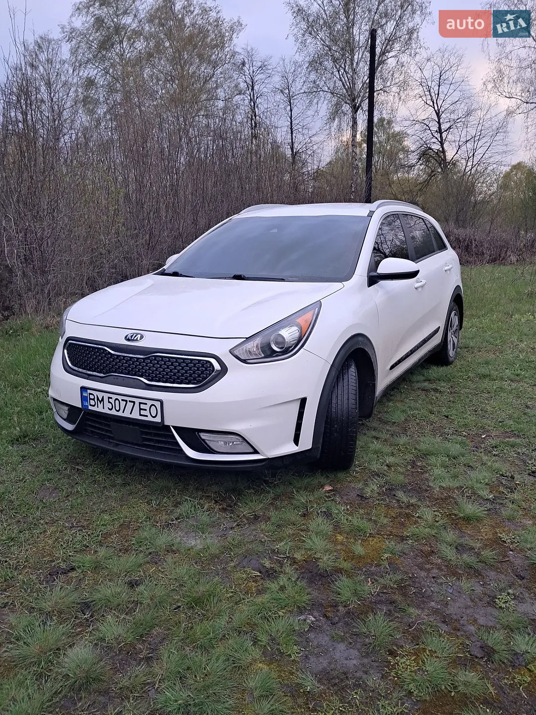 Kia Niro, 2019