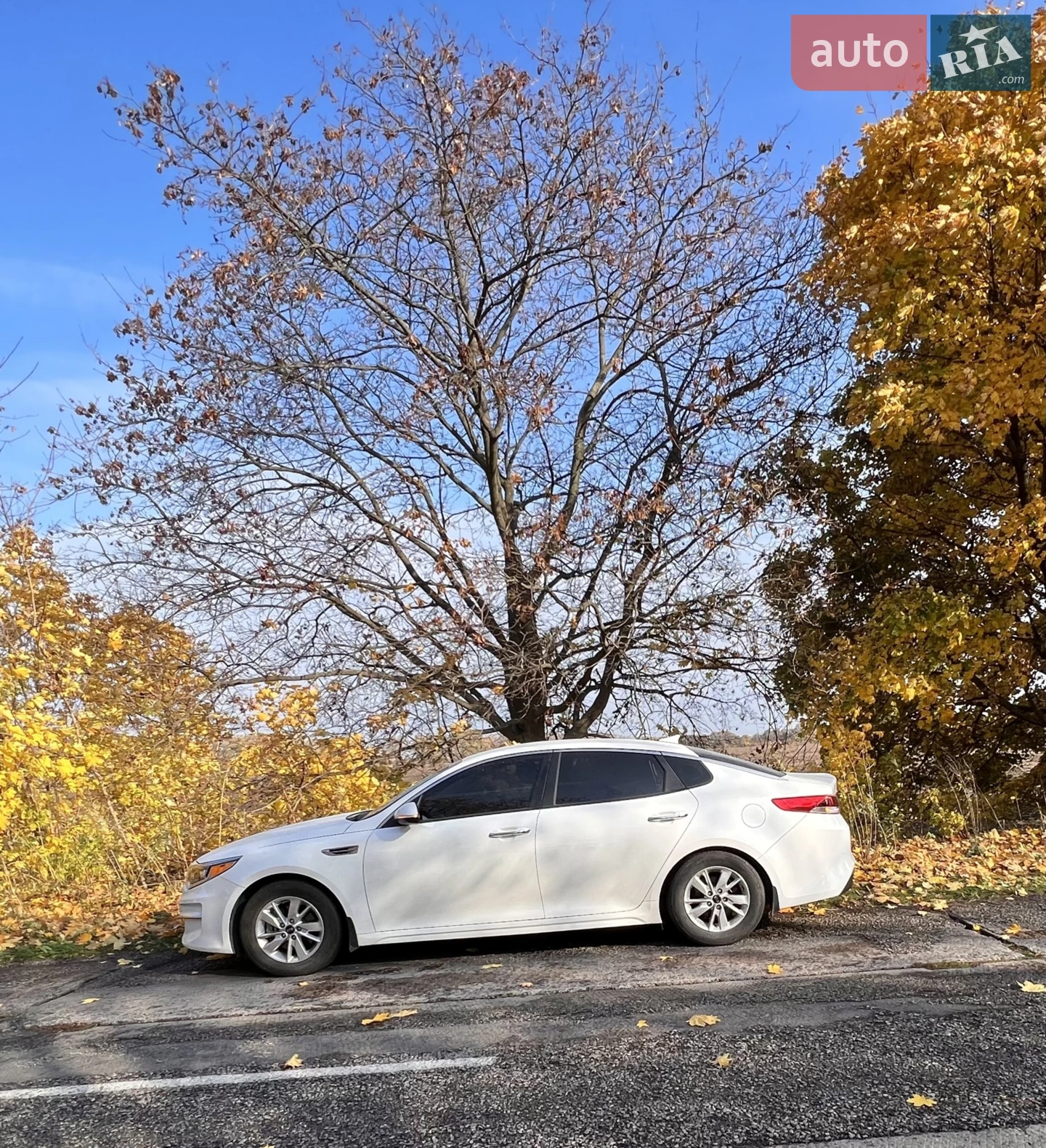 Kia Optima, 2016