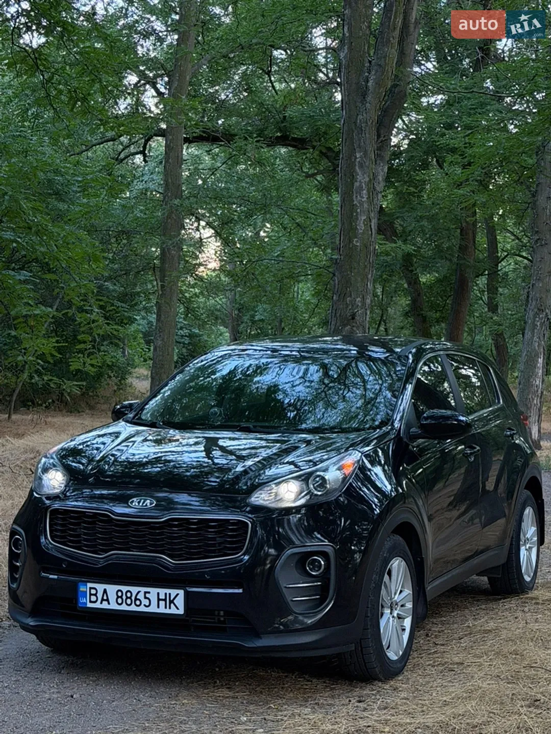 Kia Sportage, 2017