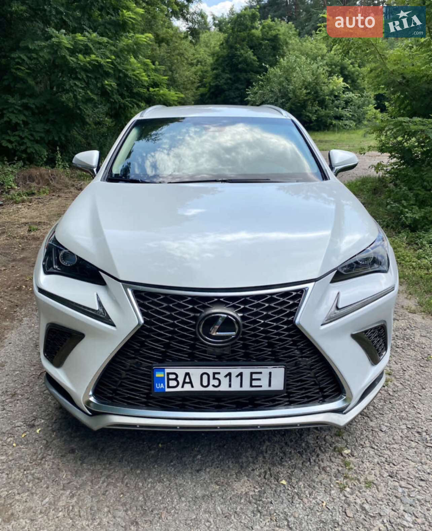 Lexus NX, 2019