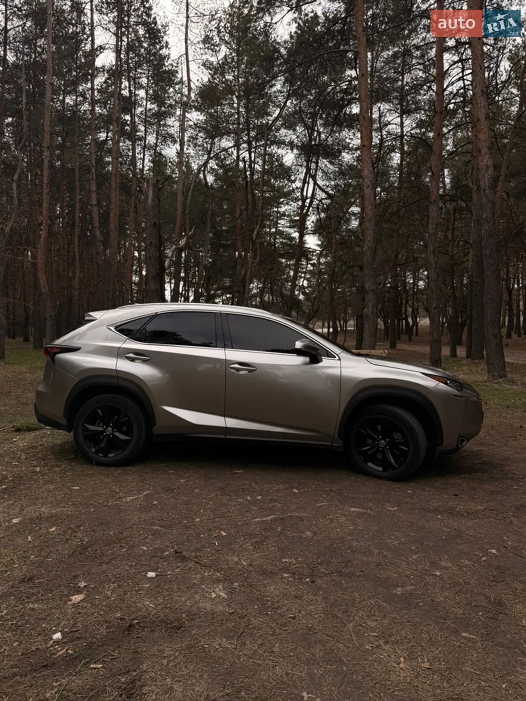 Lexus NX, 2017