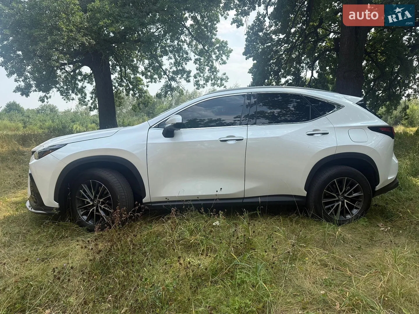 Lexus NX, 2022