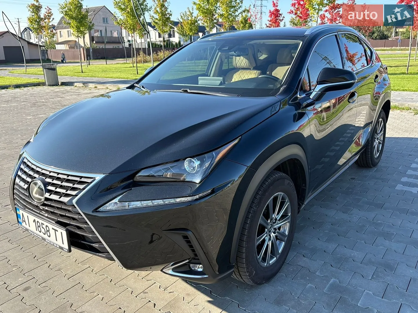 Lexus NX, 2019