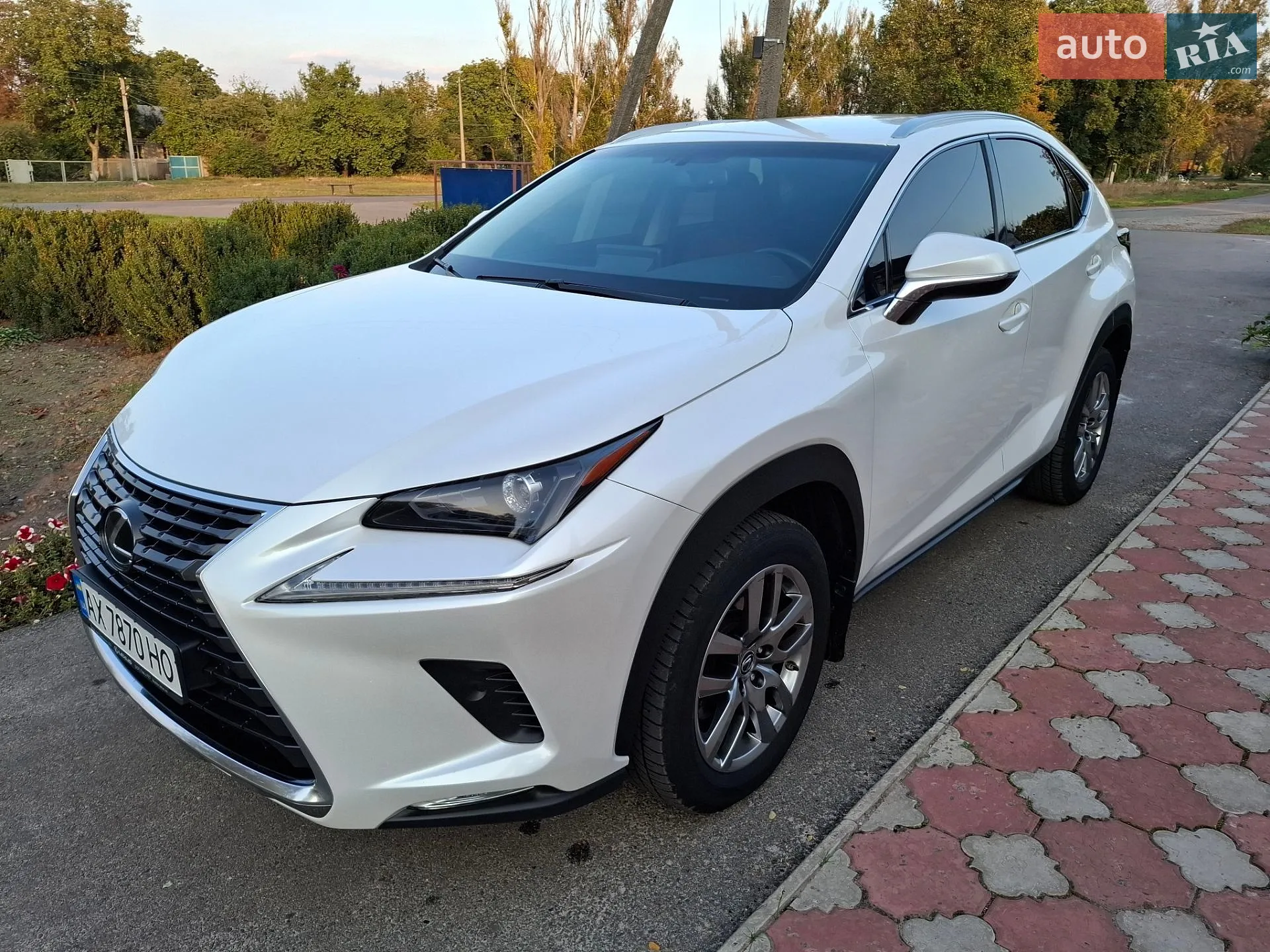 Lexus NX, 2019
