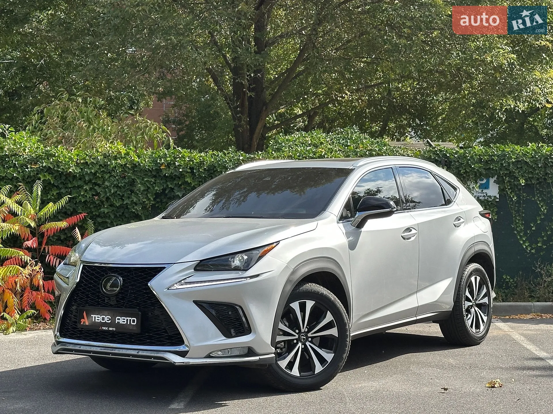 Lexus NX, 2018