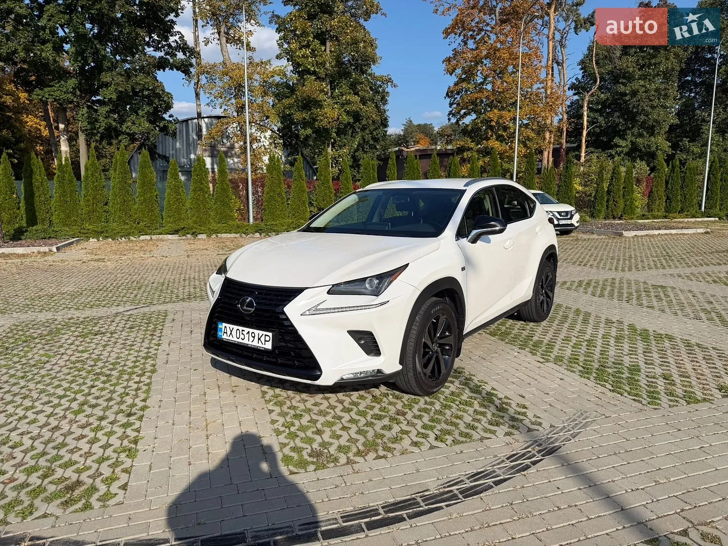 Lexus NX, 2019