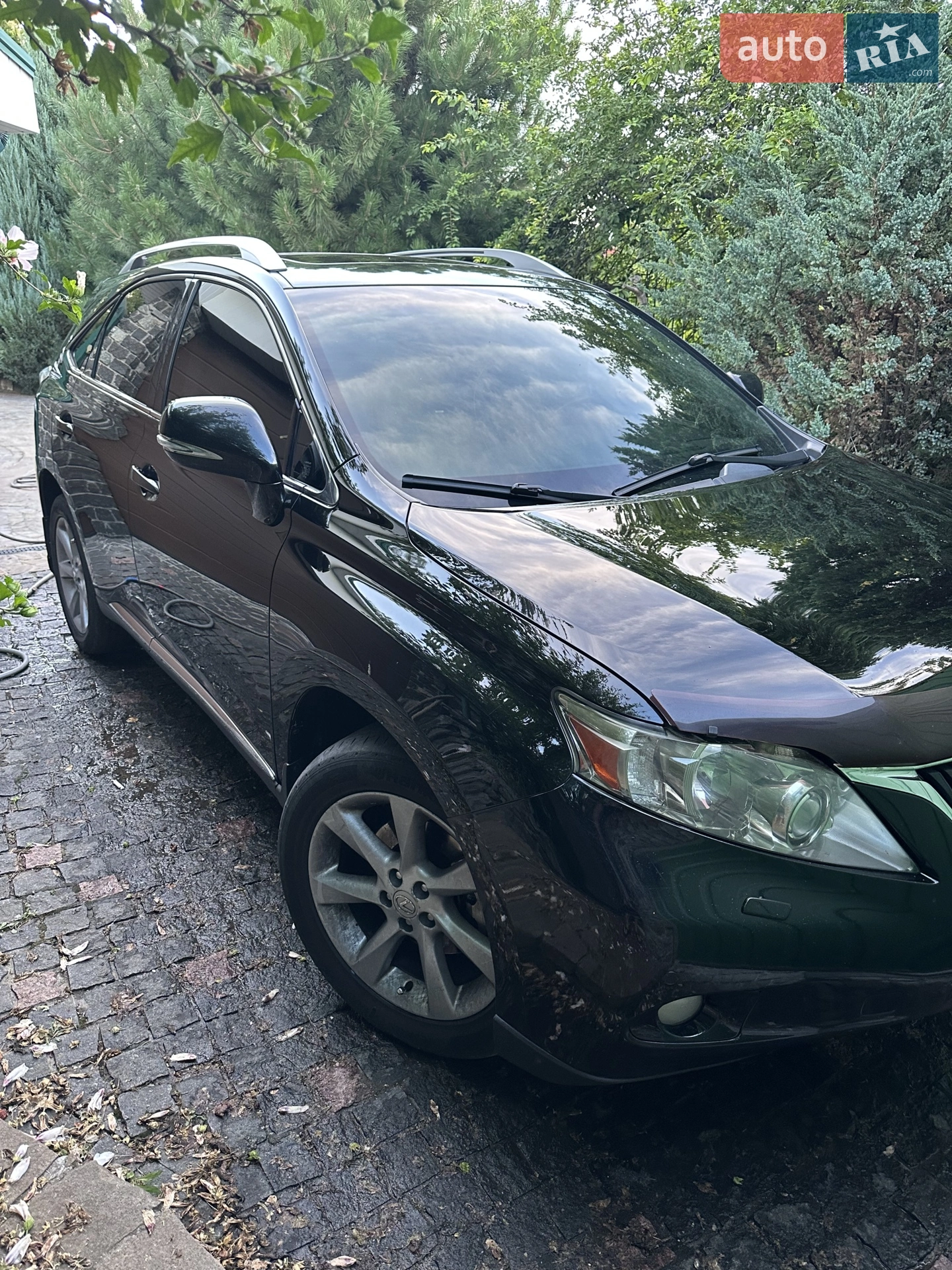 Lexus RX, 2010