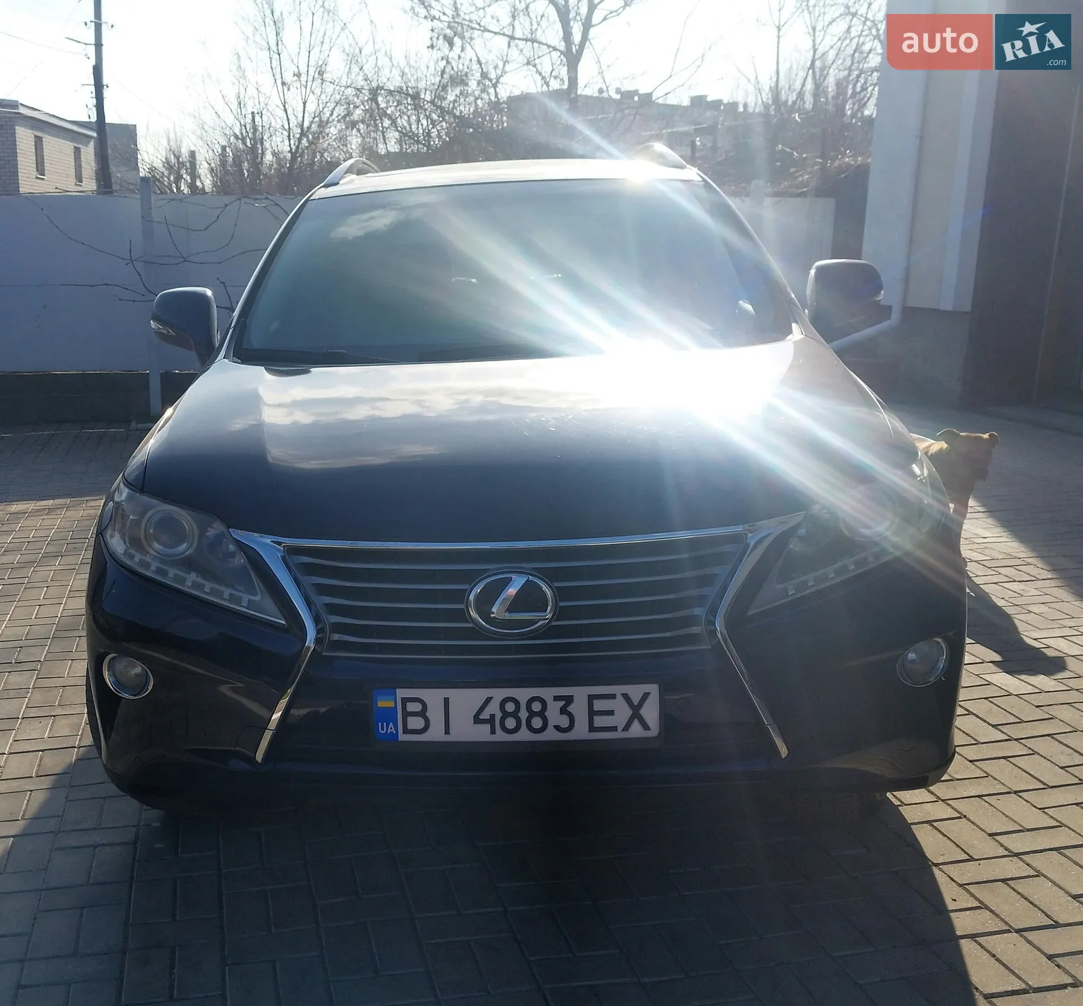 Lexus RX, 2013