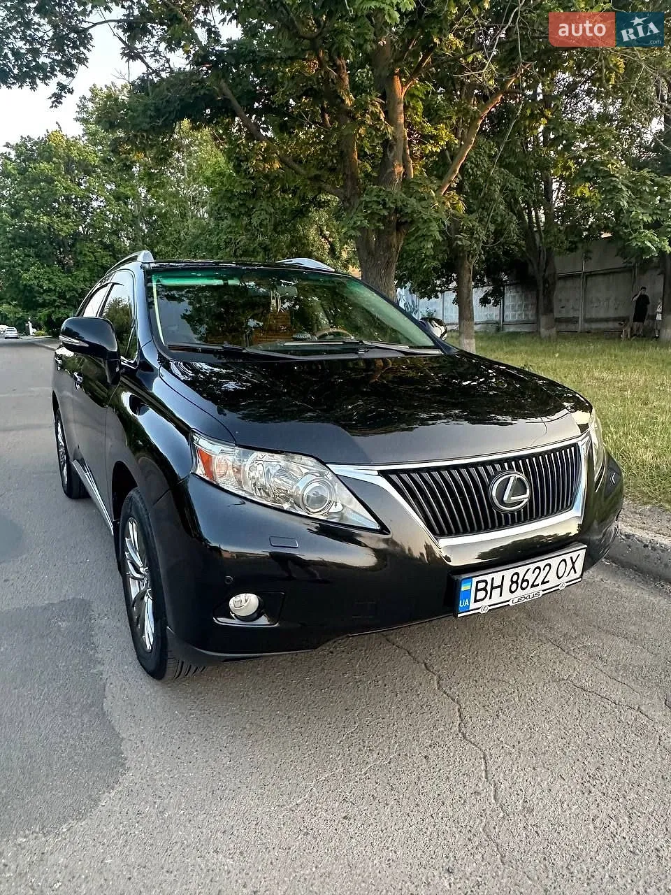 Lexus RX, 2010