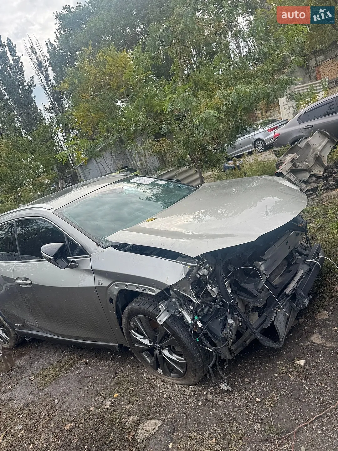 Lexus UX, 2018