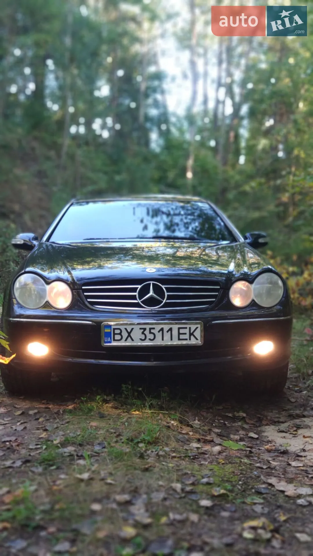 Mercedes-Benz CLK-Class, 2004