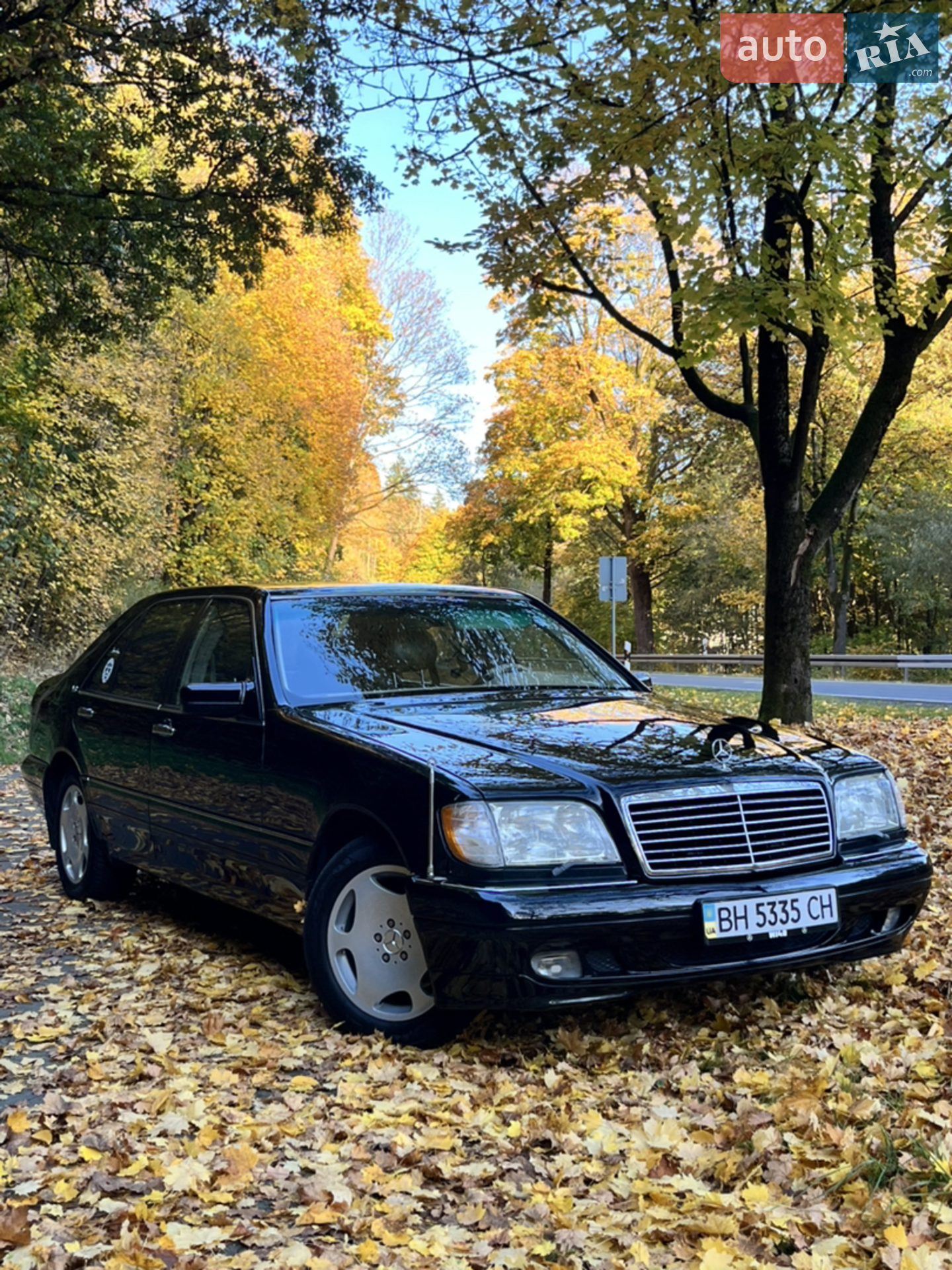 Mercedes-Benz S-Class, 1994