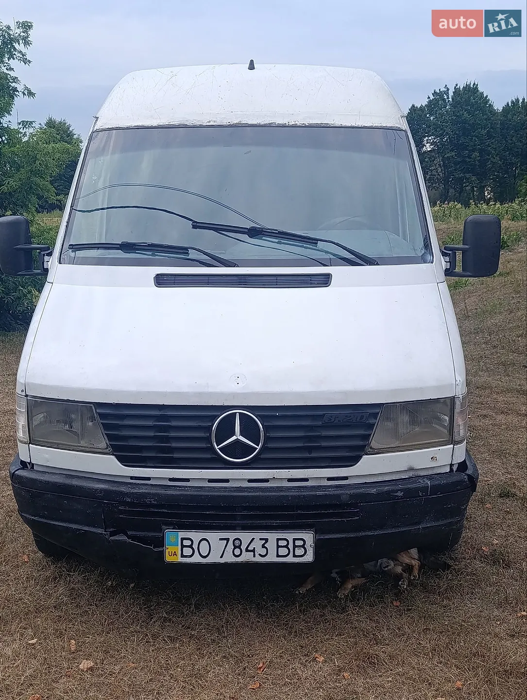 Mercedes-Benz Sprinter, 1996