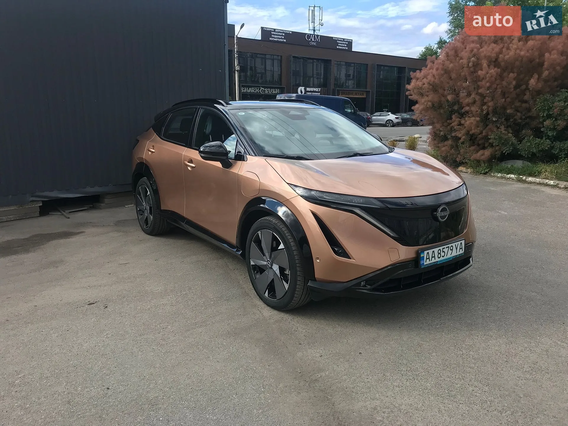Nissan Ariya, 2022