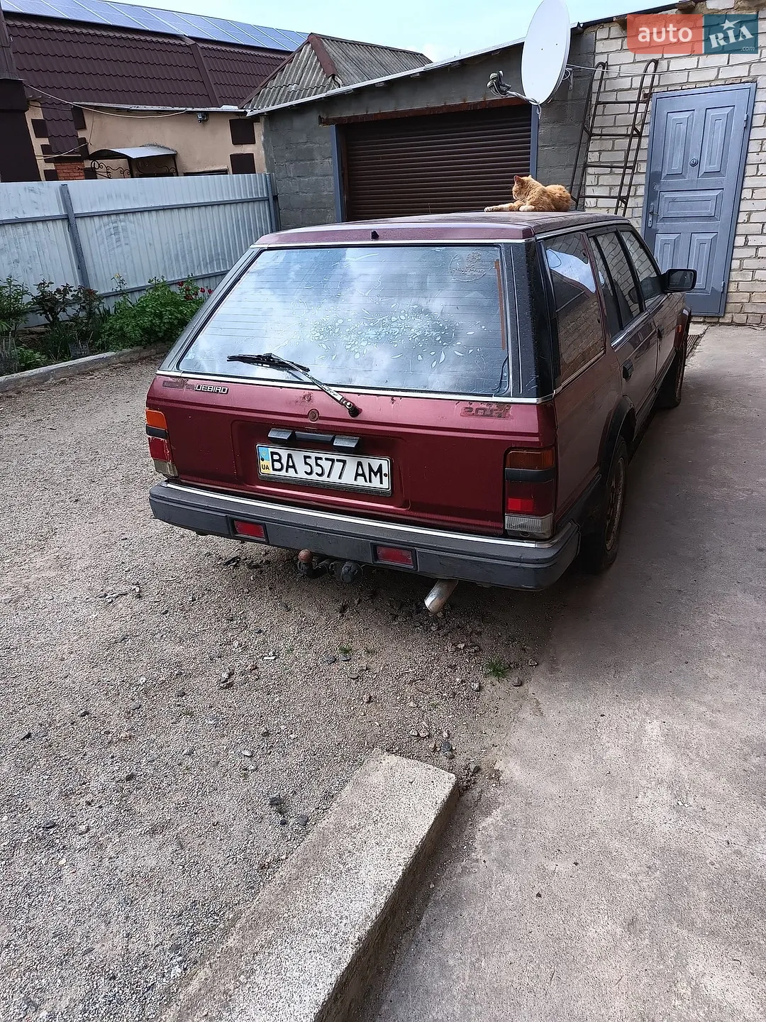 Nissan Bluebird, 1986