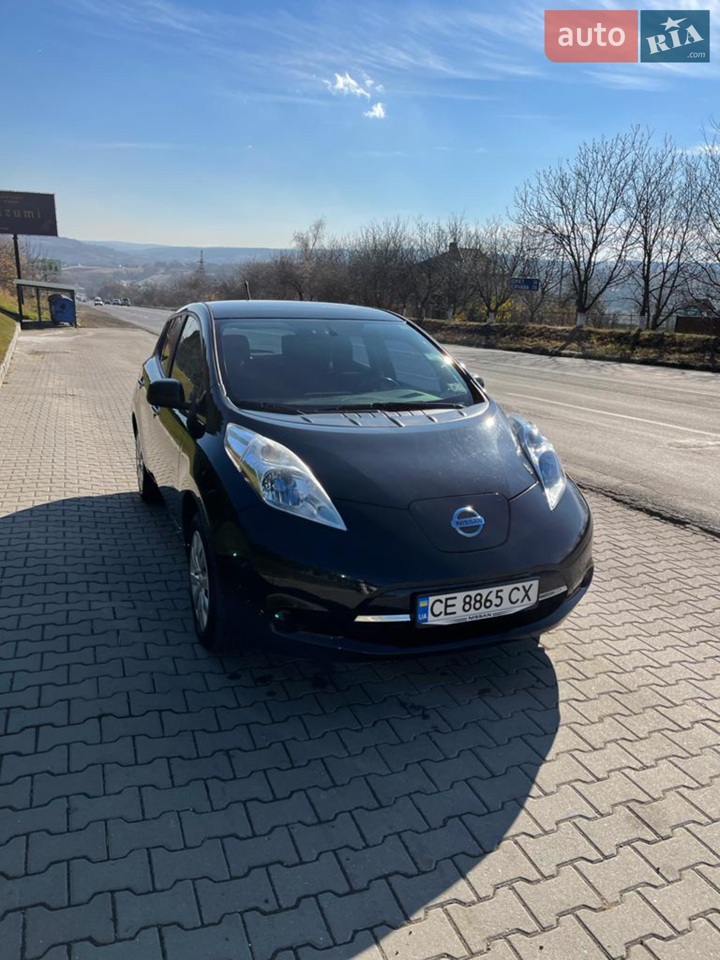 Nissan Leaf, 2013
