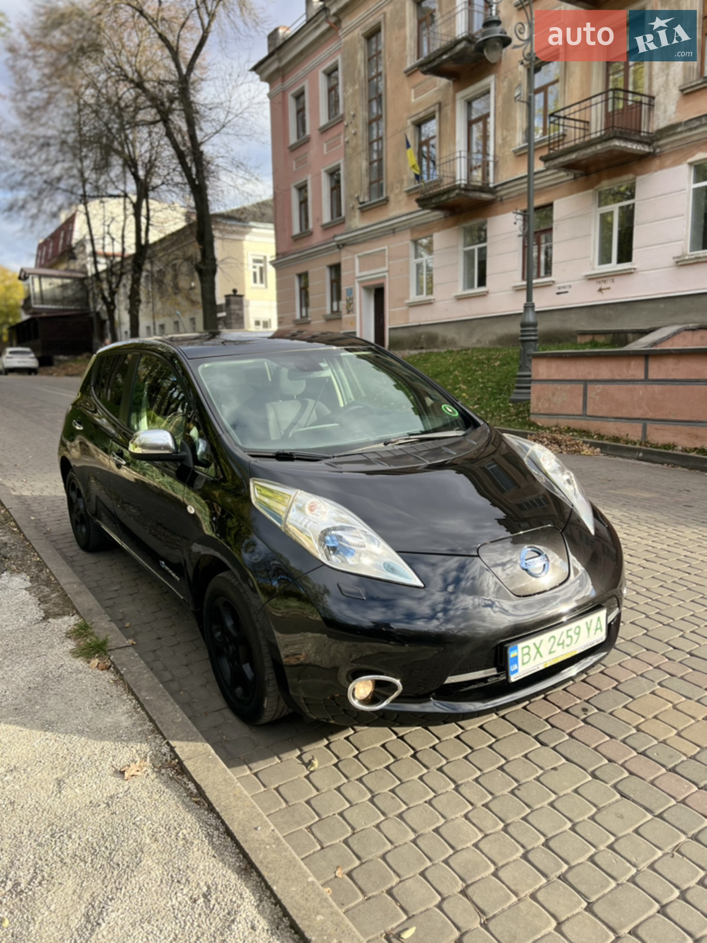 Nissan Leaf, 2013