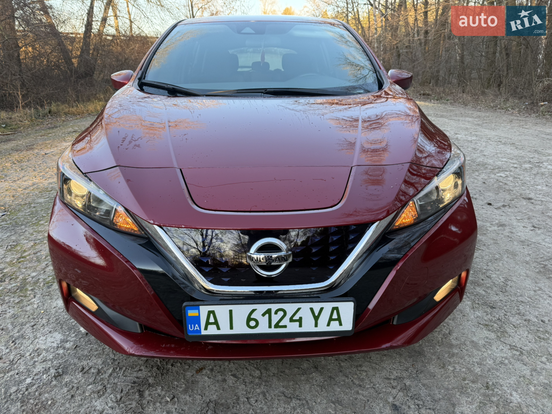 Nissan Leaf, 2020