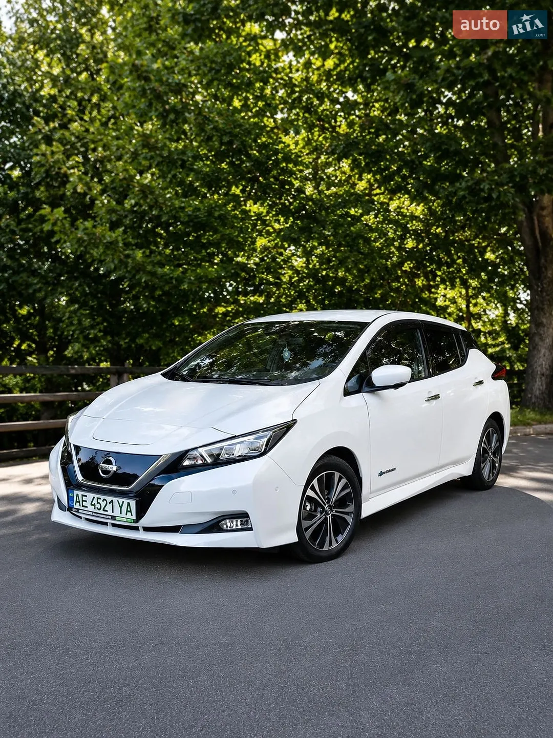 Nissan Leaf, 2019