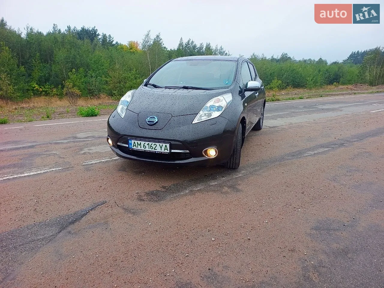 Nissan Leaf, 2013