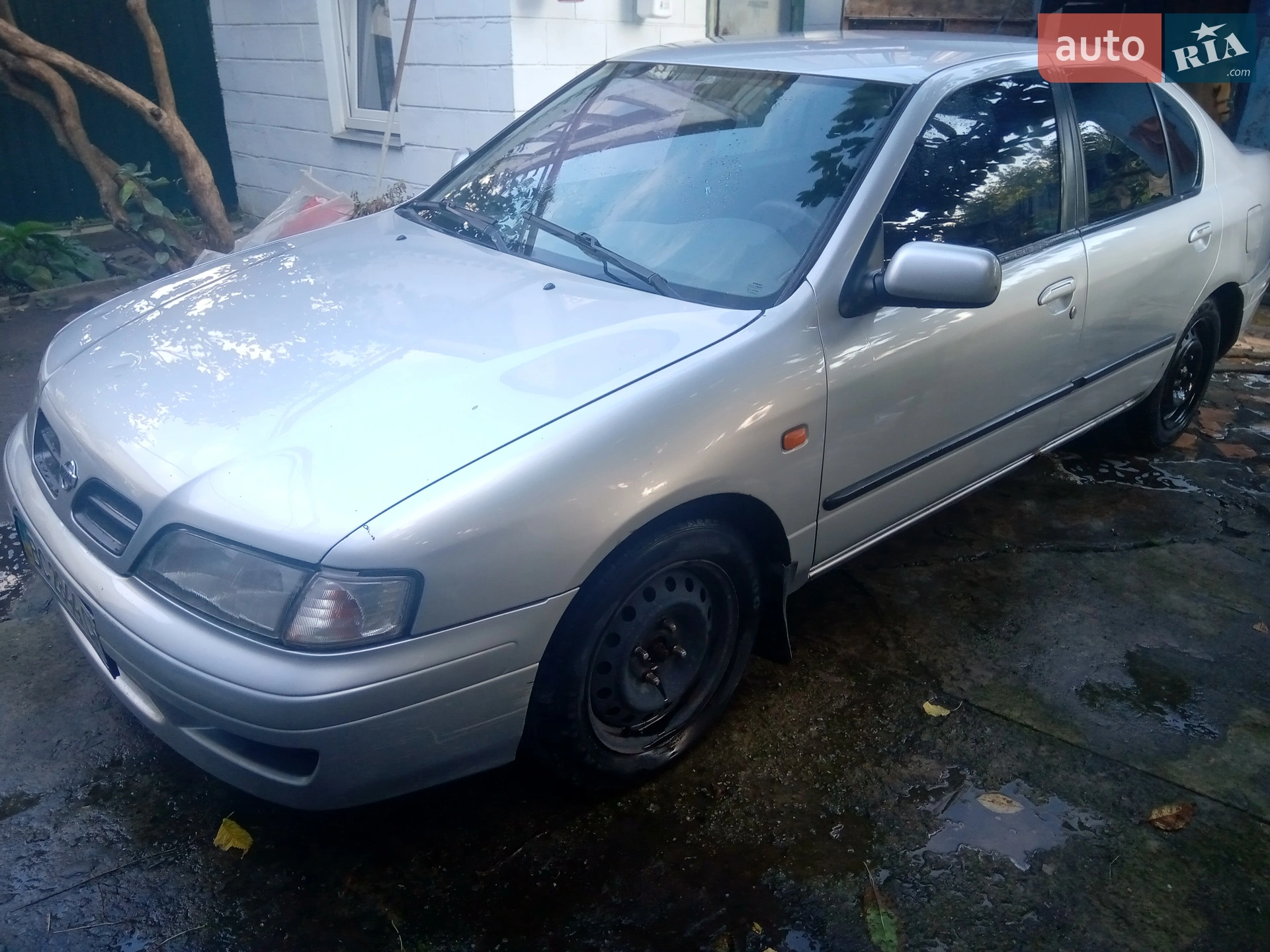 Nissan Primera, 1999