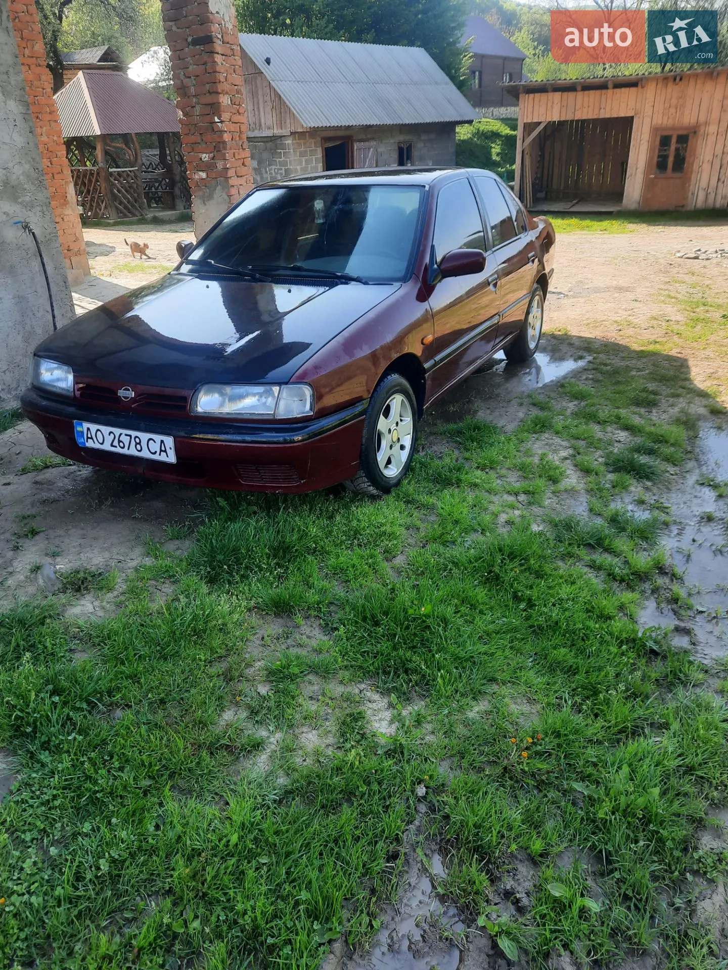 Nissan Primera, 1994