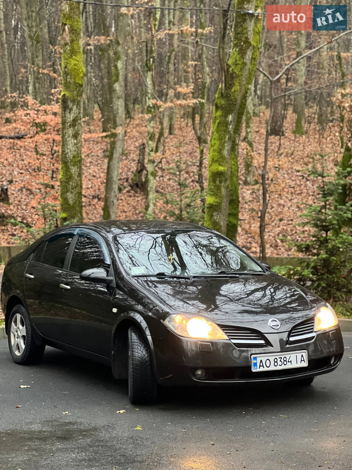 Nissan Primera, 2005