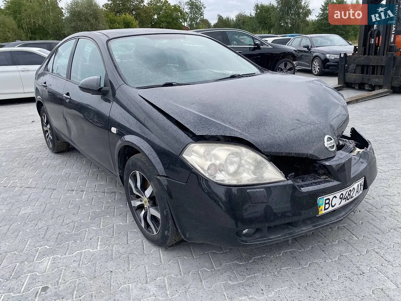 Nissan Primera, 2006