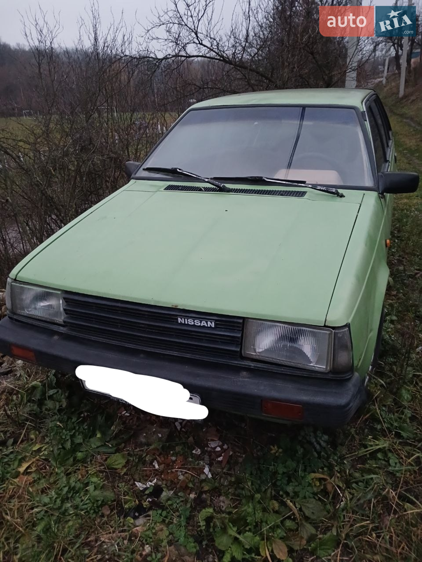 Nissan Sunny, 1979