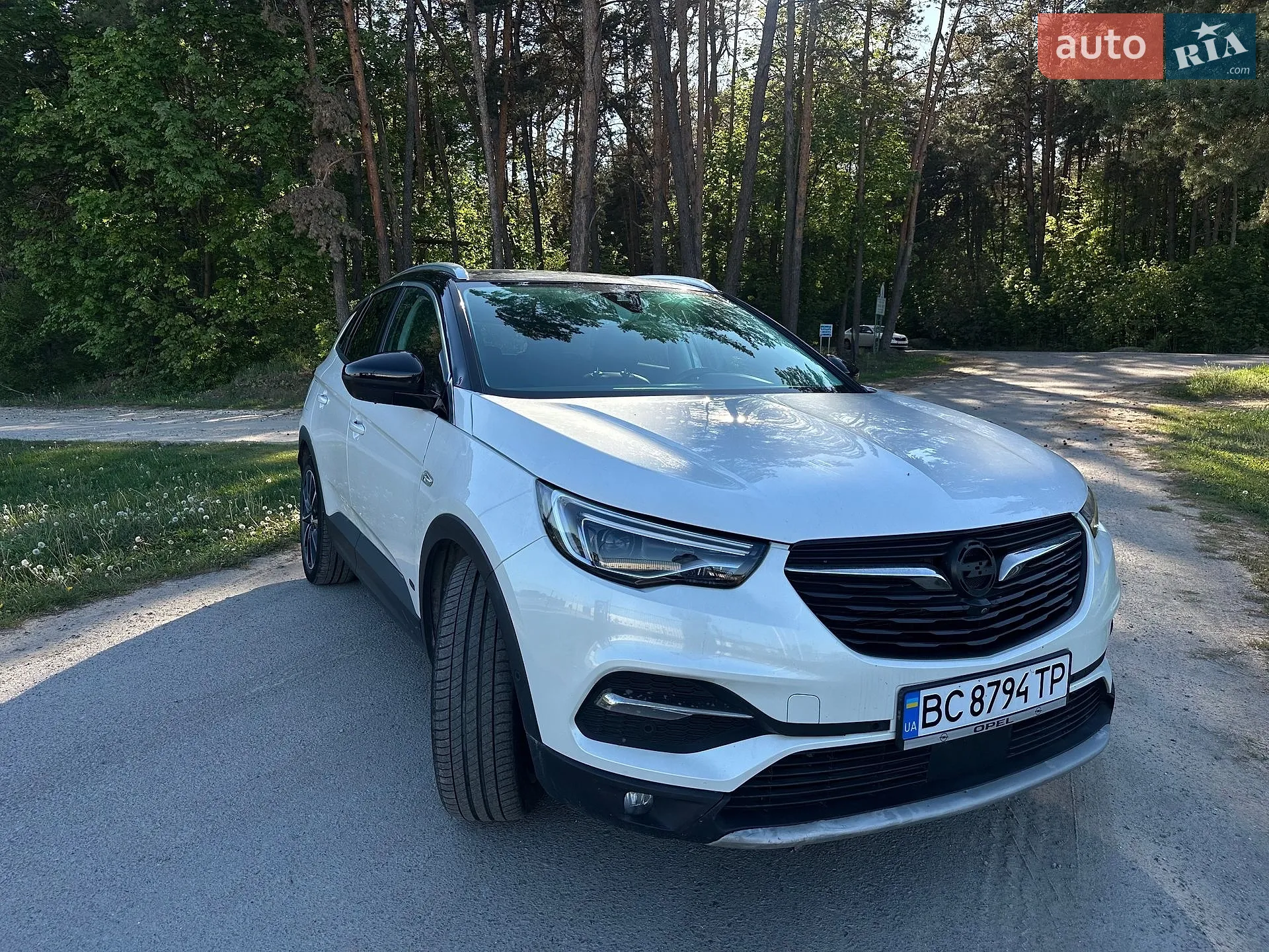 Opel Grandland X, 2019