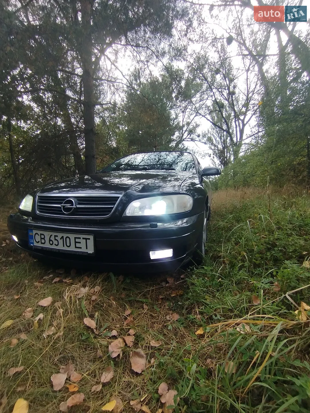 Opel Omega, 2001