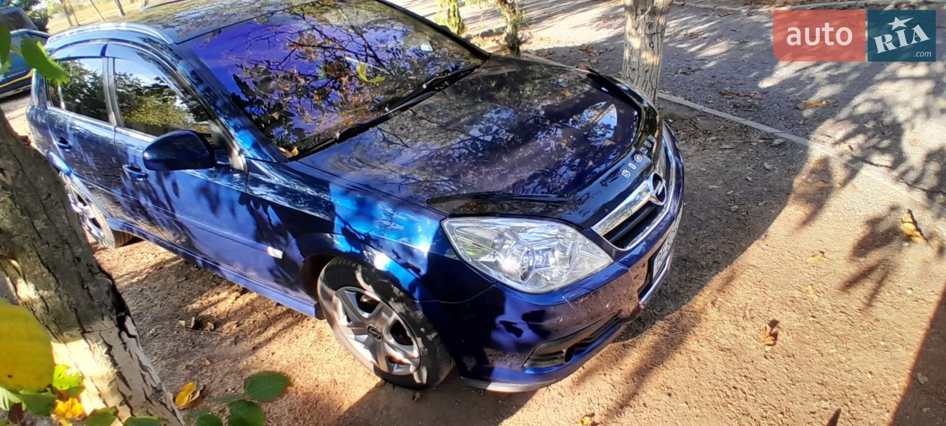 Opel Signum, 2005