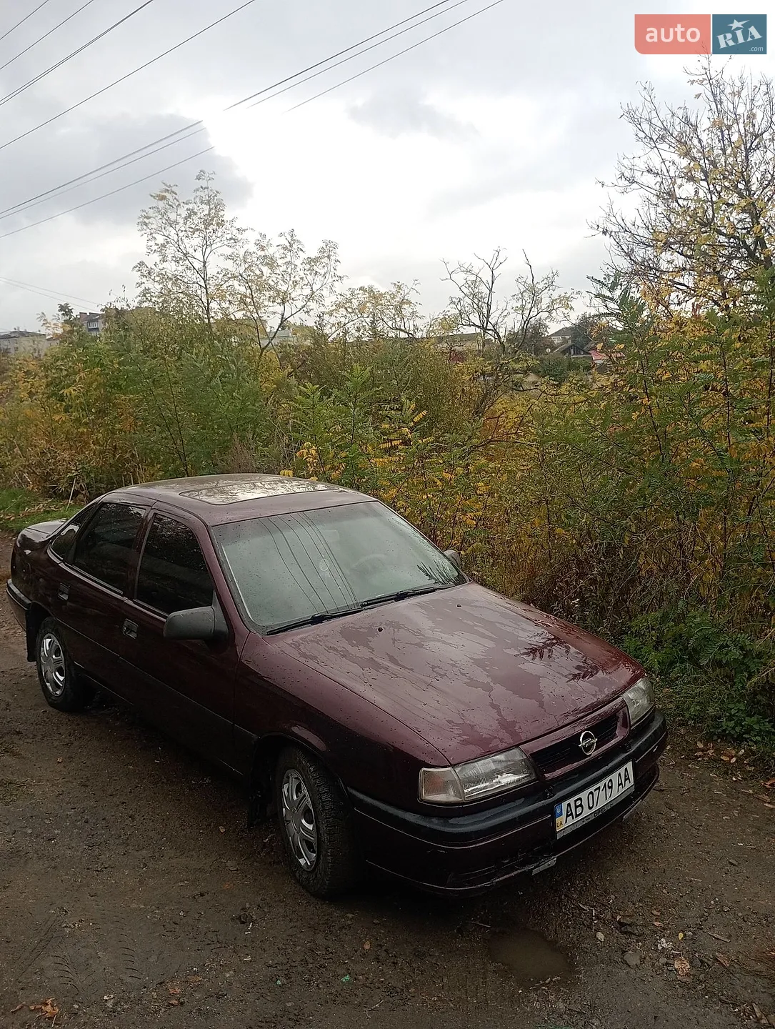 Opel Vectra, 1993