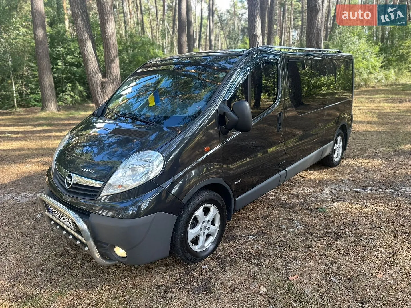 Opel Vivaro, 2013